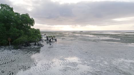 瓦拉基里海灘 蘇姆巴島 東印尼 4