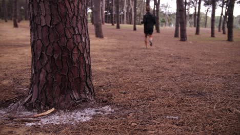 pine tree in focus man runs by