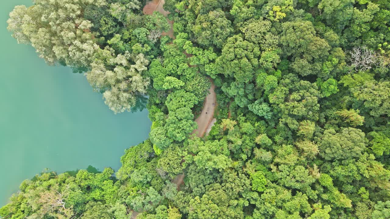 un metraje aéreo descendente dinámico hacia las porciones asomadas del sinuoso camino cubierto por varios árboles saludables en las montañas que rodean el embalse de shing mun en hong kong
