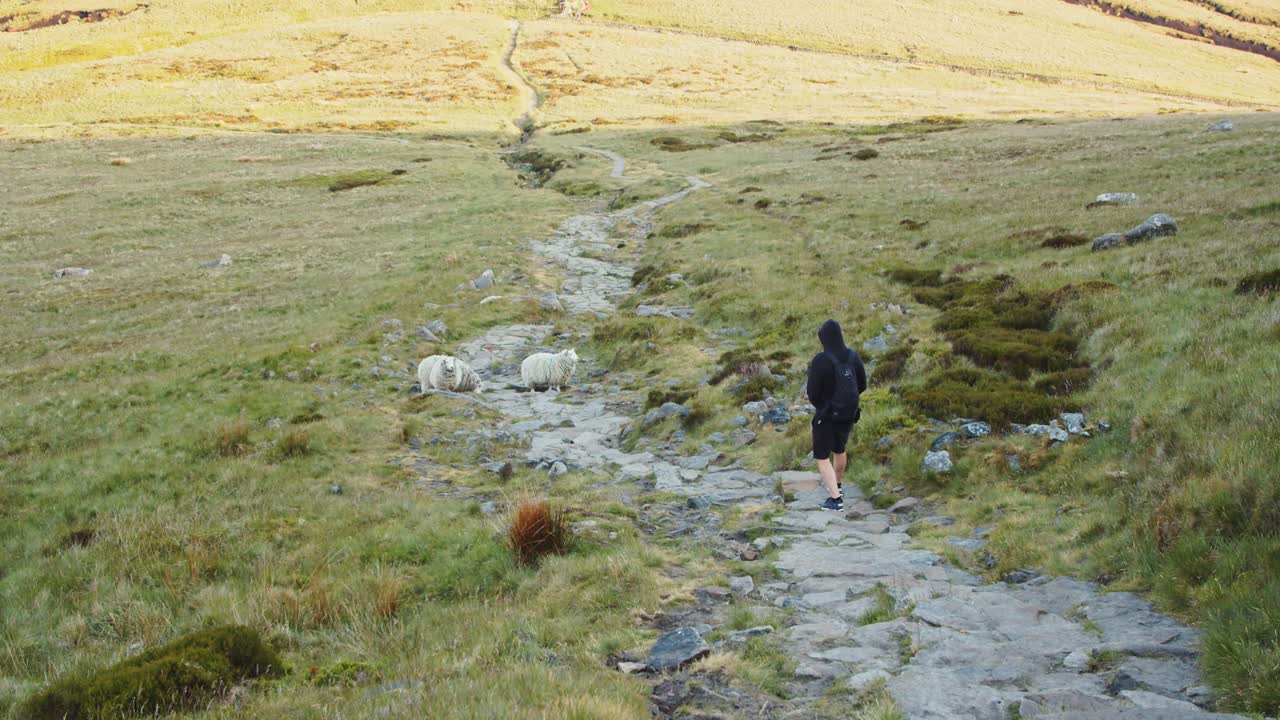 clip de cámara lenta del hombre caminando sobre un camino de piedra a través de un valle cubierto de hierba, derbyshire