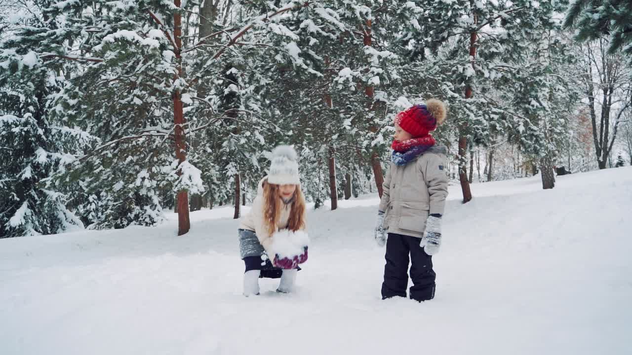 An amusing girl with a large lump of snow in her hands is throwing it up in the park on the background of coniferous trees in the winter near the boy who is watching what is happening. Slow motion. Winter landscape