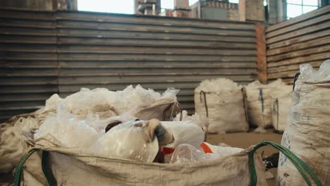 un hombre moreno en un uniforme de protección blanco en un casco de seguridad y un chaleco naranja salta a una gran pila de celofán plástico reciclado en una planta de procesamiento y clasificación de residuos