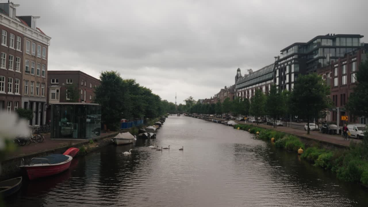 Ducks On Canal Water On Cloudy Day In Amsterdam City, Netherlands. sliding reveal