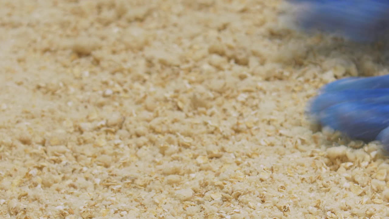 보호 장갑을 낀 근로자의 손은 베이킹 준비가 된 귀리 믹스를 준비하고 배포합니다.