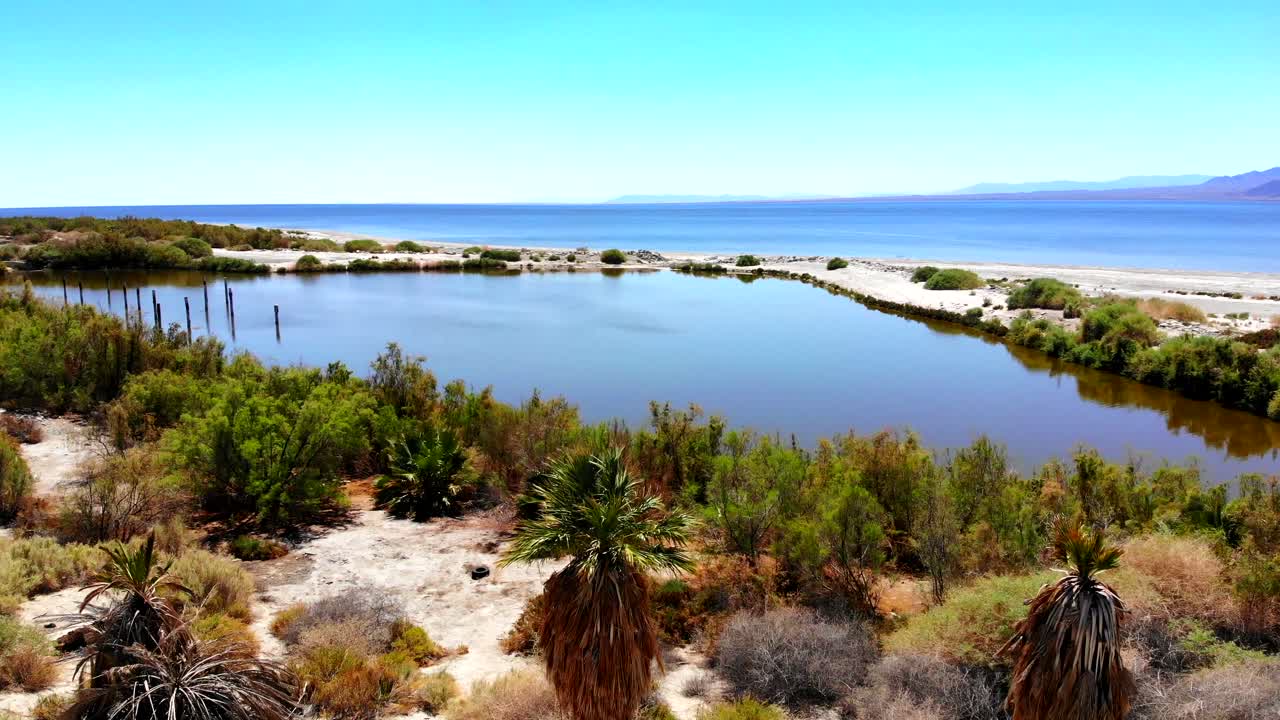 Aerial View of a Desert Oasis with Palm Trees and Calm Water