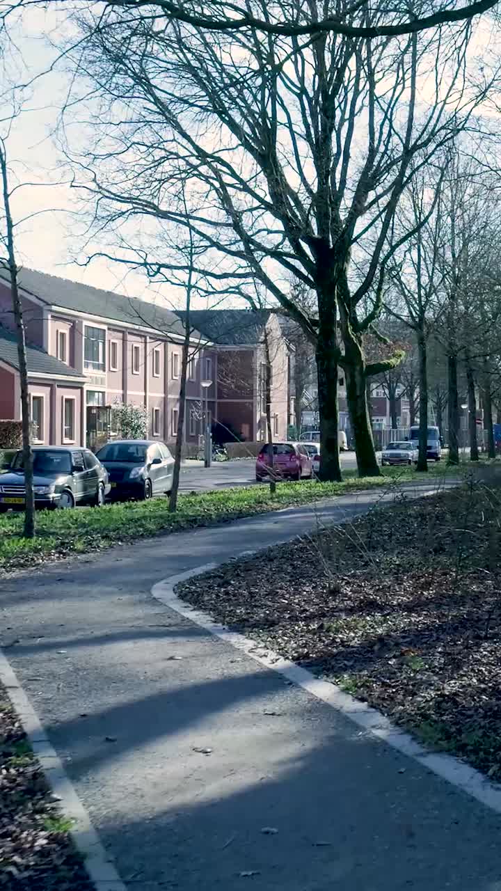 Stille beboelsesgade med parkerede biler og nøgne træer