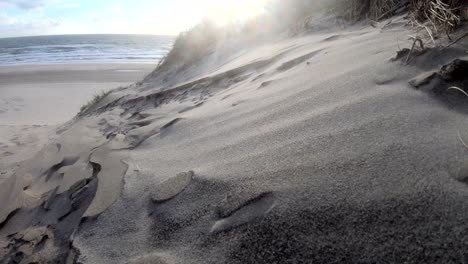 sand dunes with dune grass in the storm of the north sea, hiking dunes, dike protection, sondervig, jutland, denmark, 4k