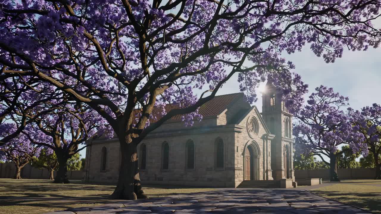 평화, 영성, 성령을 상징하는 비둘기로 변신하는 교회를 보여주는 애니메이션, 꽃이 피는 자카란다 나무와 빛