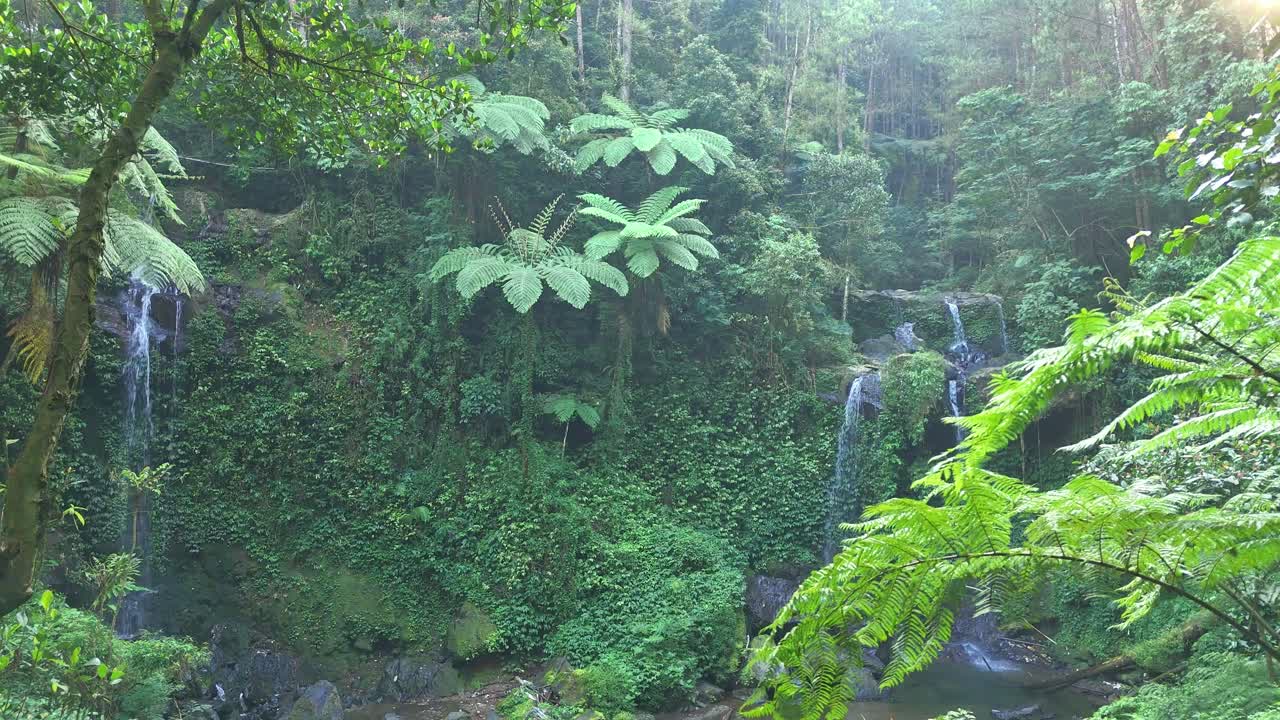 Nature footage of a hidden jungle waterfall streaming through rocks and covered with lush foliage