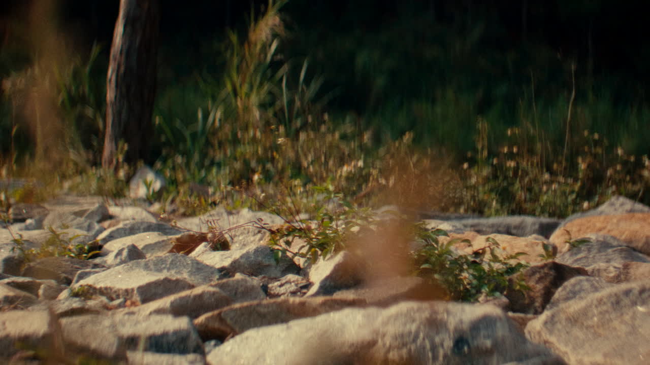 Person Walking on Rocks in Nature