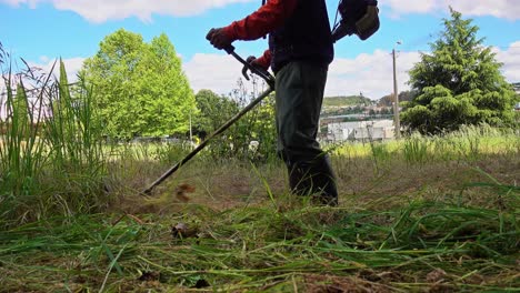 gardener mows weeds grass