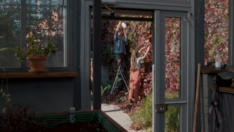 people taking care of plants