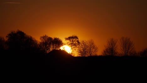 beautiful sunset over forest in the southern hemisphere