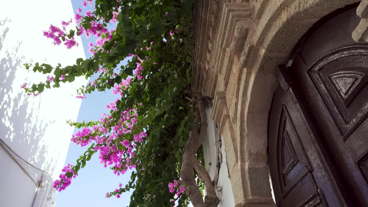 flores de buganvilla rosadas frente a la puerta vieja en el pueblo griego blanco