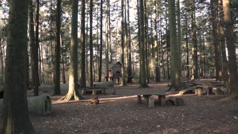 wooden play area in a forest