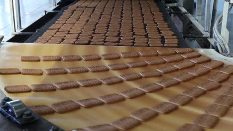conveyor with sweet cookies at a confectionery factory
