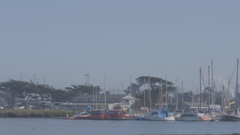 Toma-Panorámica-En-Cámara-Lenta-De-Veleros-Atracados-En-Moss-Landing-Harbor-California