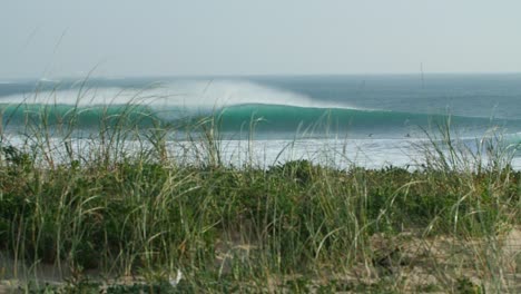 empty perfect wave with leafs on the foregroung