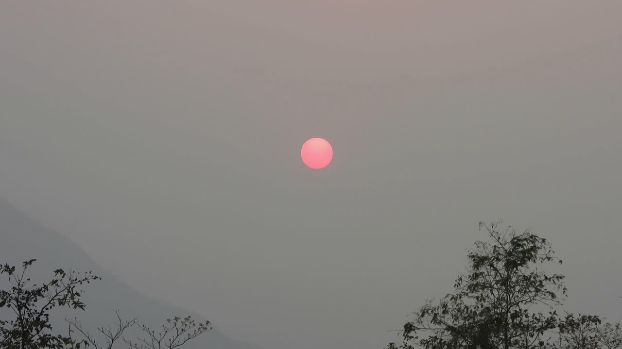 beautiful sunset and pink color sun