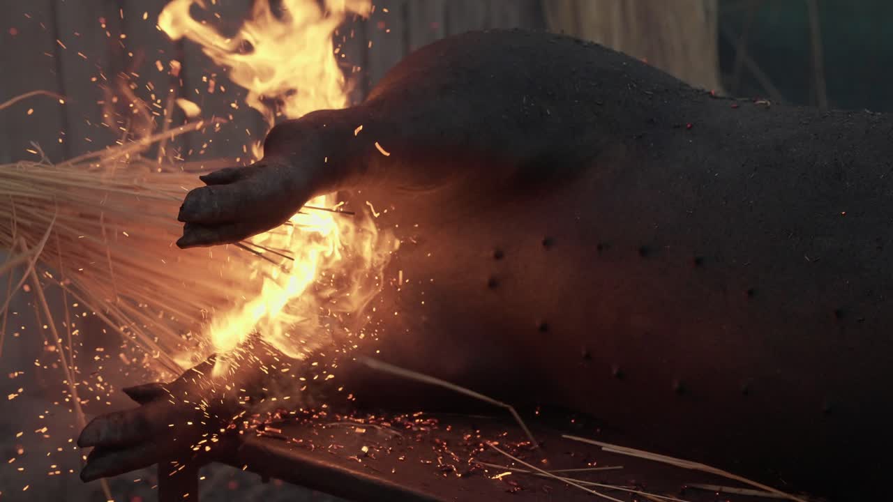 Flaming straw singeing pig during slaughter in Minho Portugal - slowmotion