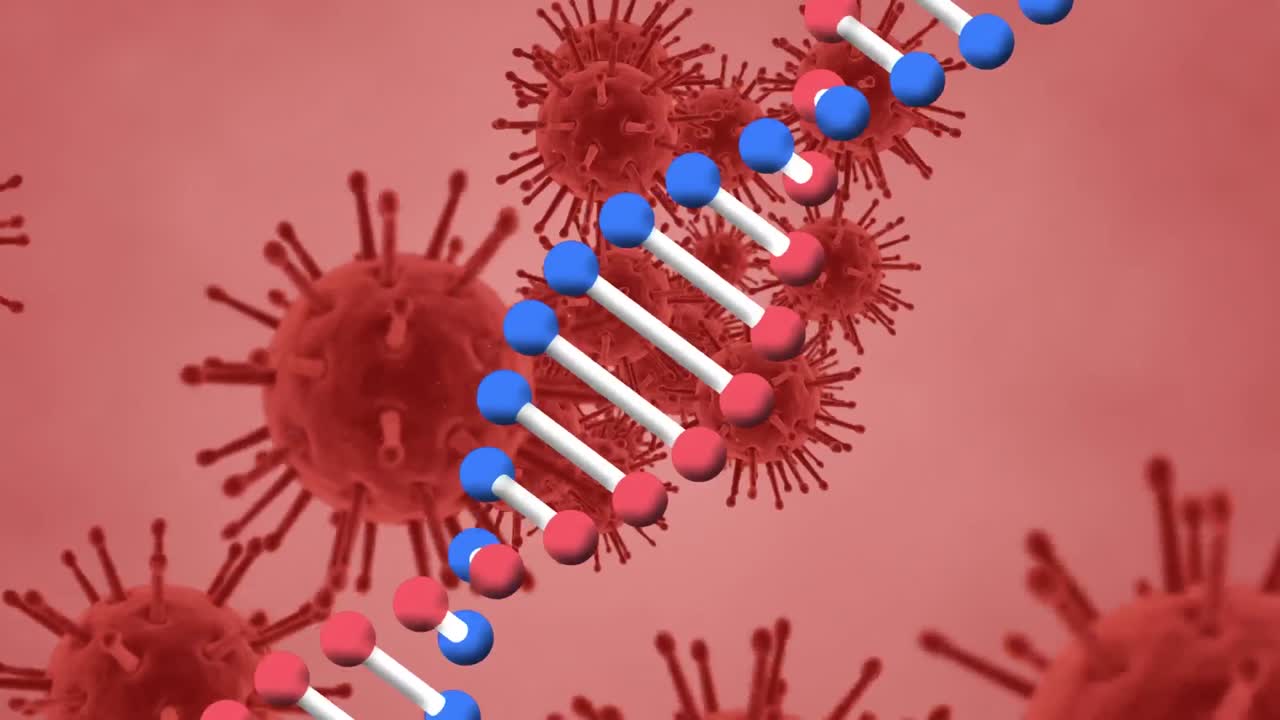 animación del giro de la cadena de adn y las células macro covid 19