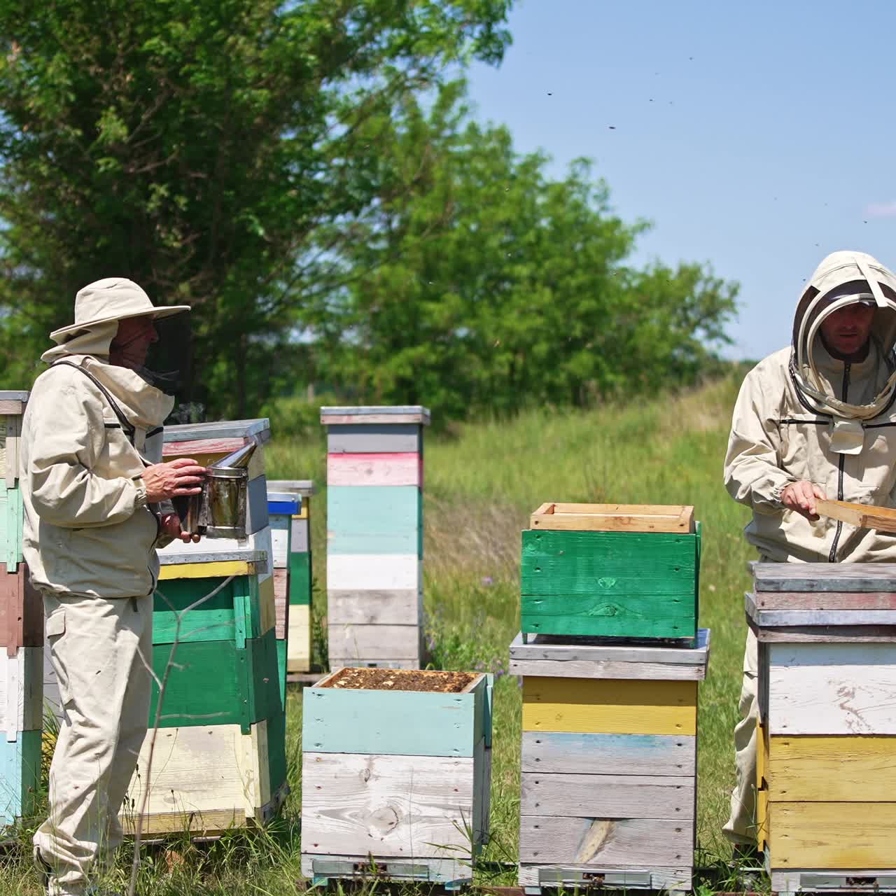 Two adult men working at the rural bee farm. Beekeepers holding metal tools in their hands. Nature backdrop