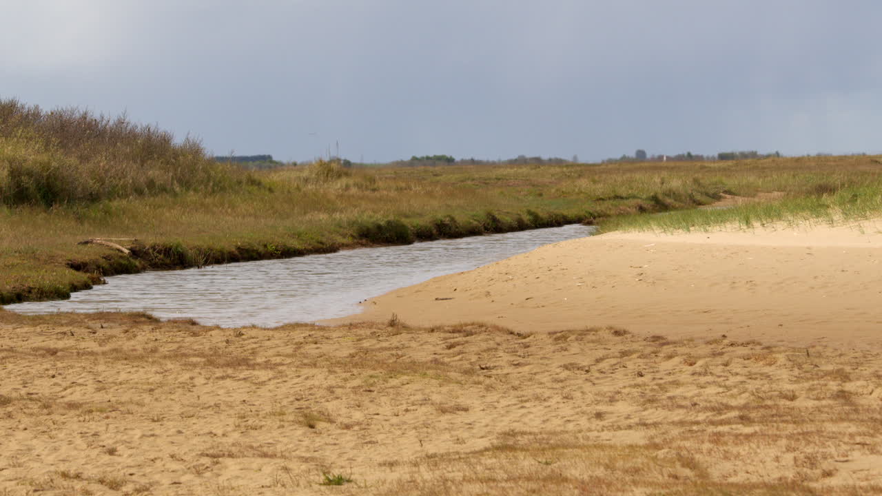 fotografía amplia de un arroyo de entrada de marea arenosa que corre hacia la playa, en las llanuras de barro, saltfleet, louth, lincolnshire