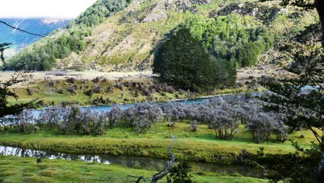 Bosque-En-Valle-De-Montaña-Con-Río