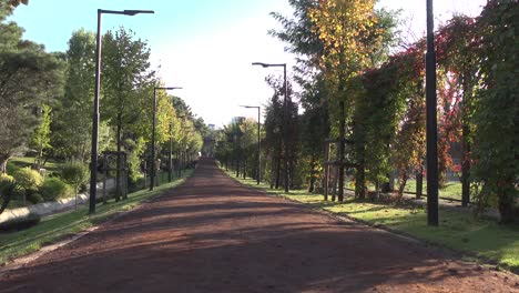 a pathway through a park with trees on either side