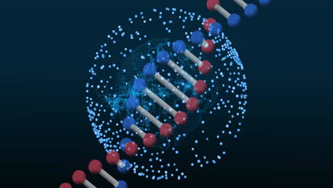 Animación-De-La-Estructura-Molecular-Y-La-Cadena-De-ADN-Sobre-Un-Fondo-De-Red-Digital