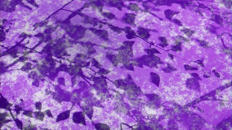 Dappled-Sunlight-on-a-Purple-Surface-background