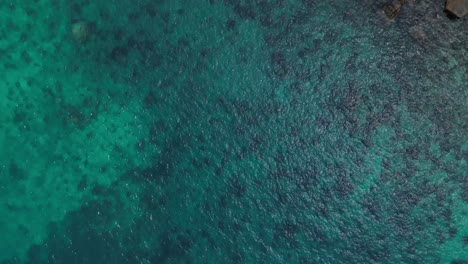 reef on tropical island beach with stones