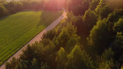 Flying-close-to-forest-tree-tops-near-ageiculture-field,-aerial-drone-view
