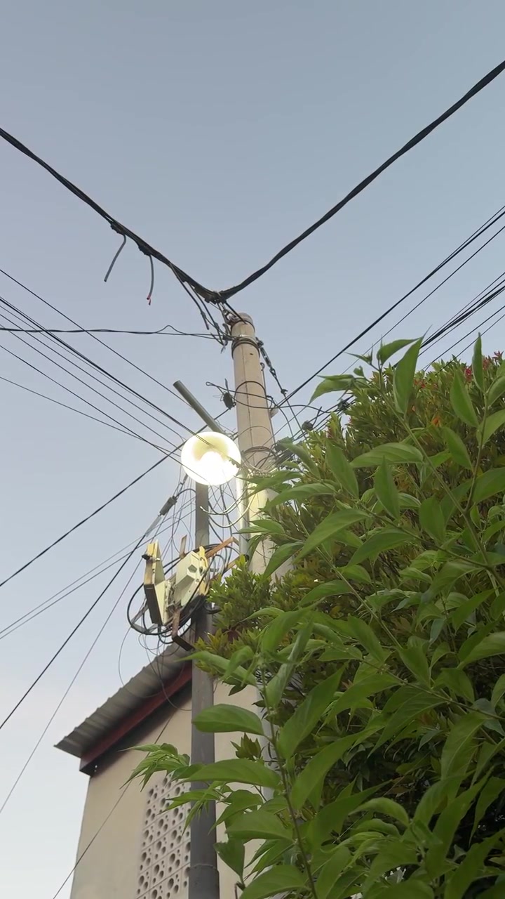 Street Lamp Glowing on Utility Pole with Tangled Power Lines