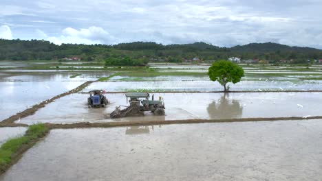 plowing tractors preparing soil for sowing in the paddy fields at kampung mawar, langkawi malaysia