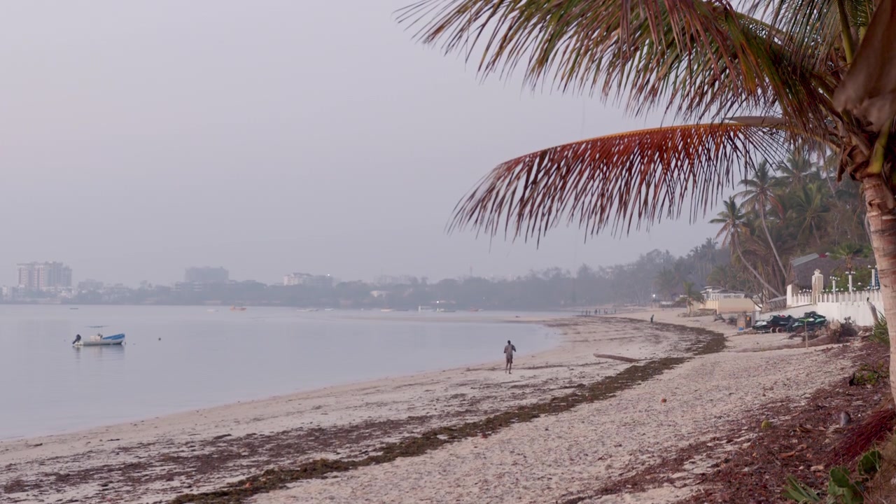 Bellissima spiaggia di sabbia con palma e Oceano Indiano sulla costa africana.