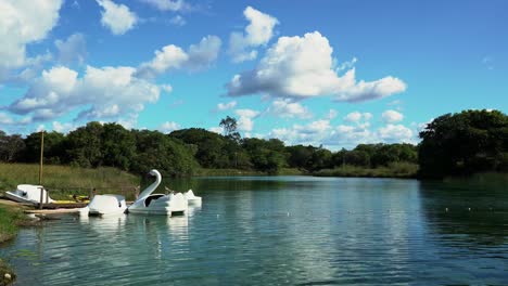 Tilting-down-shot-revealing-swan-paddle-boats-in