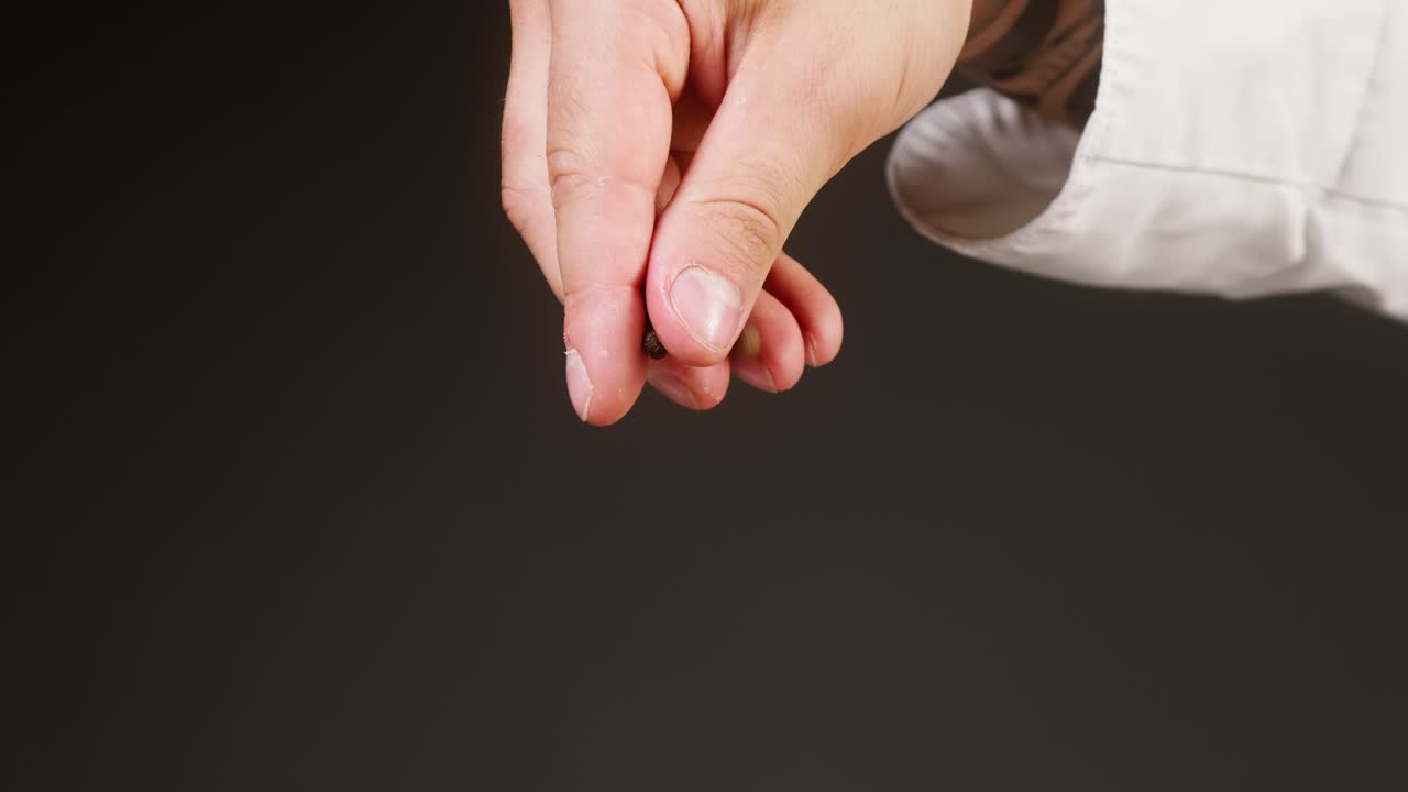 Close Up of Chef's Hand Sprinkling Spices