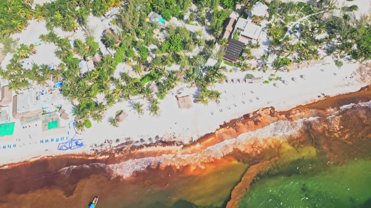 Tropical Mexican coastline, dense green woodland, aerial tilt reveal