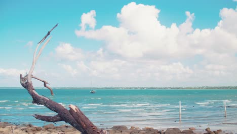 Small-boat-floats-in-the-tropic,-blue-waters-just-off-the-coast-to-a-rocky-beach-that-harbours-a-long,-dead,-dead-tree-branch-that-watches-under-a-perfect-sky-featuring-fluffy-clouds-of-pure-white