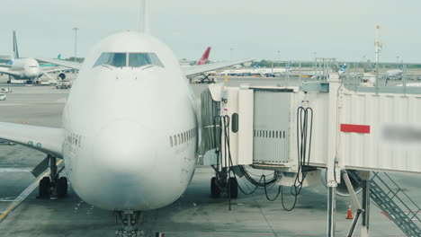 passenger boarding bridge connects to jet