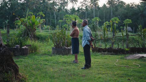 two elderly men in a tropical garden