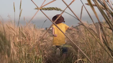 a kid running in a wheat field