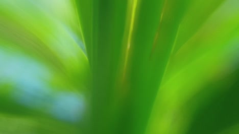 Mesmerizing-dreamy-abstract-flowing-background-with-stunning-green-and-blue-soft-pastel-colors-moving-across-in-parallax-slow-motion