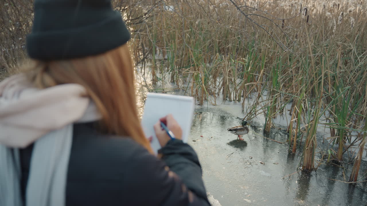 Woman sketches nature. Individual sketches serene wetland wildlife during outdoor excursion. Caucasian woman wearing scarf engages in peaceful sketching of ducks in wetland environment