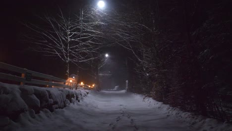 Snowed-and-empty-path-during-the-night-with-some-lamps