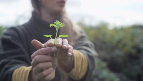 Mujer-Explicando-Las-Partes-Ecológicas-De-Una-Planta-A-La-Audiencia-Mientras-La-Sostiene-En-La-Mano,-Señalando-La-Planta