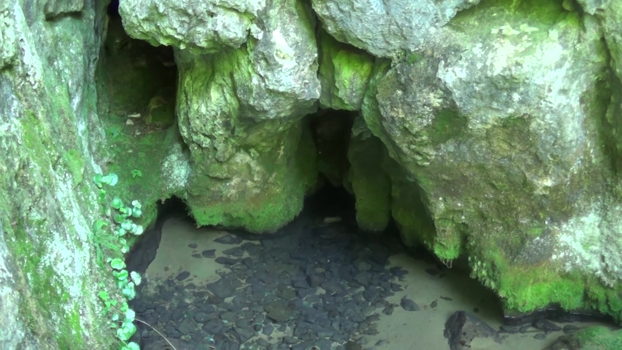 Sebuah gua kecil di gunung dan air mengalir keluar darinya