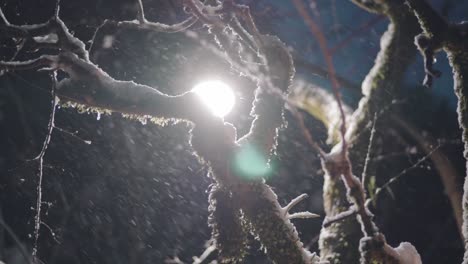 copos de nieve cayendo en una noche de invierno en kyoto, japón