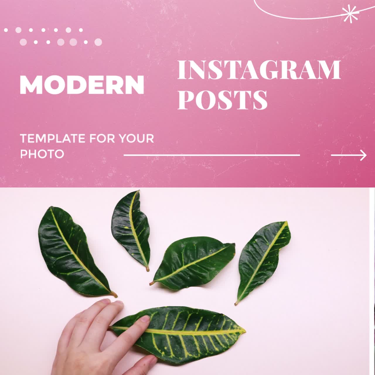 Pink Corporate Square Post 07 Instagram Post Square Adobe Premiere Pro 2022 Resolution 1080x1080